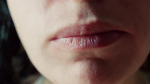 Closeup Mouth of a Hungry Woman with Braces on His Teeth Who Greedily Eats French Fries Eats Fast alt