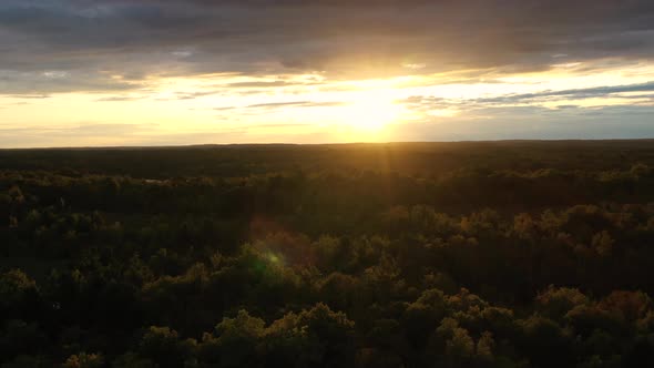 Beautiful Aerial Summer Sunset Above Green Forest 02