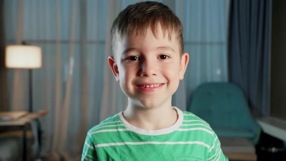 Portrait Funny Little Boy Smiling Child Looking at Camera are Sitting on the Couch at Home Cute Kid, Stock Footage
