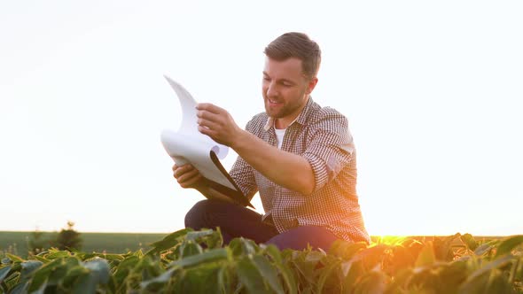 A Successful Farmer on His Plantation of Soybean Checks the Crop alt