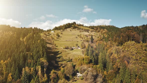 Autumn Mountain Hill with Pine Tree Forest and Lonley Houses alt