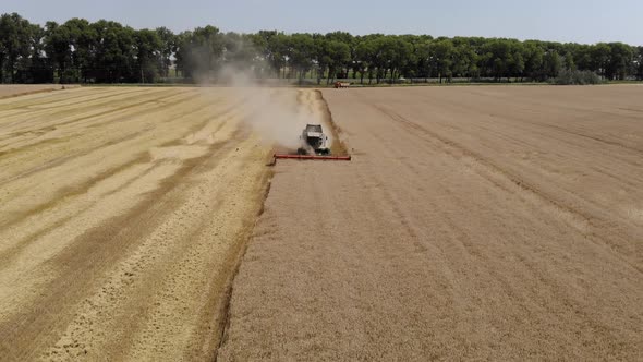 Aerial View of Combine Harvester Mowing Crops in Sunlight alt