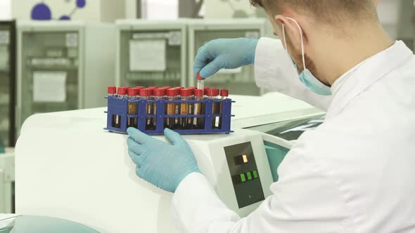 A Professional Lab Technician Checks Each of the Tubes Before Loading Them Into a Laboratory alt
