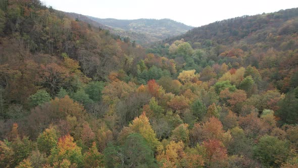 Colorful Autumn View of the Caucasus Mountains alt