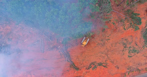Before Construction a Dozer is Used to Clean Up a Deforested Area and Prepare the Land for alt