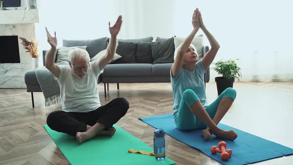 Old couple making exercises alt