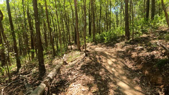 Cross Country Mountain Biker quickly passing camera on dry Australian trail with a small lift of the alt