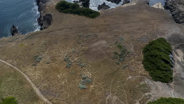 Aerial tilt-up high above the coast of Sea Ranch, California alt