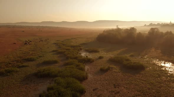 Agricultural Landscape with Cows Grazing on Pasture alt