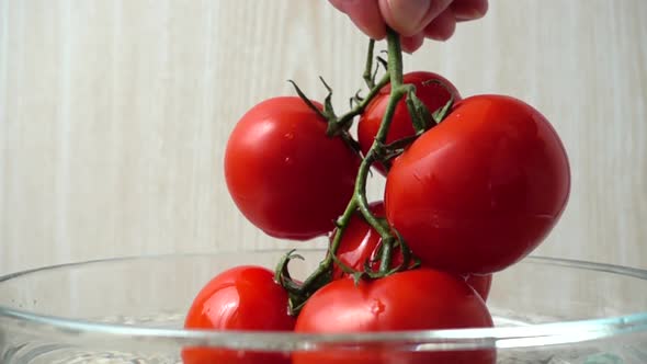 The Cook Gets Tomatoes alt