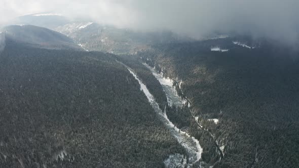 Winter road with pines in Bucin Transylvania aerial