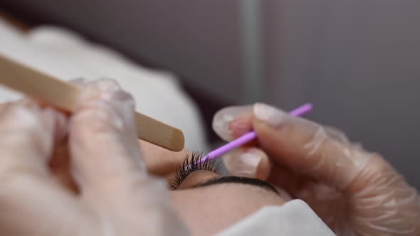 The Master Cleans the Eyelashes of a Woman Preparing Before Lamination alt