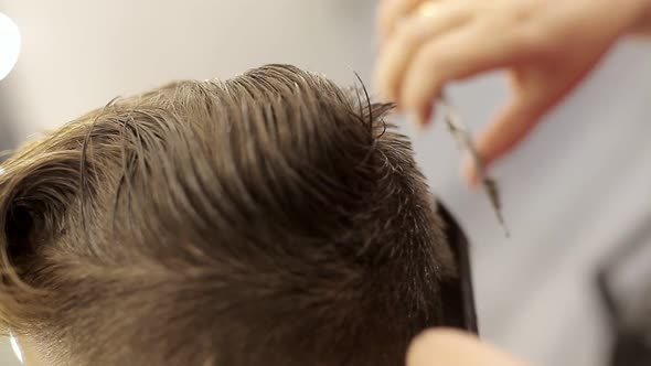 The Girl the Hairdresser Cuts Hair with Scissors and a Comb Does a Hairdress To the Boy. Hairdresser