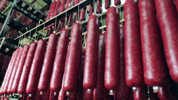 Factory Warehouse with Lots of Smoked Sausages in It alt