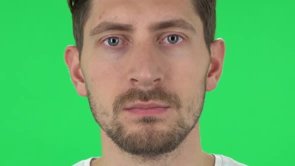 Man with a Beard Is Looking Straight. Close Up. Green Screen alt