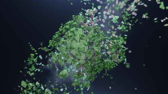 Explosion on the Fragments of Green Coronavirus alt