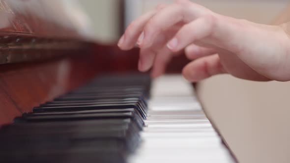Musician Plays Chords on the Piano with Hands alt
