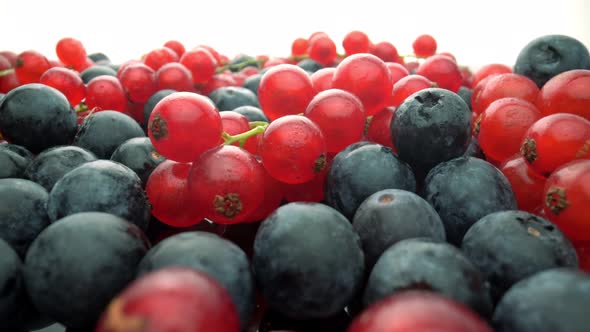 Wild Berries Red Currants and Black Lingonberries in Motion in Slow Motion alt