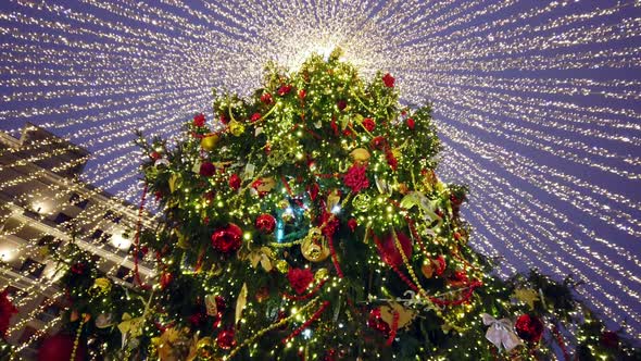 Decorated Christmas Tree Dressed Sparkles with Illumination