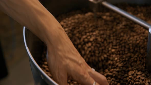 Coffee Roasting Process in Small Roaster Factory alt