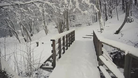 Wooden foot bridge in the forest in winter