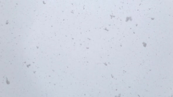 Slow Motion Footage of Fresh White Snow Falling
