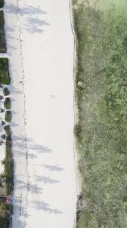 Tanzania  Vertical Video of the Ocean Near the Coast of Zanzibar Slow Motion alt