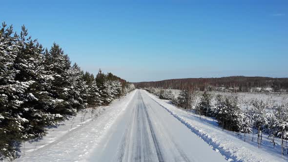 4 Winter Road Among Fir Trees