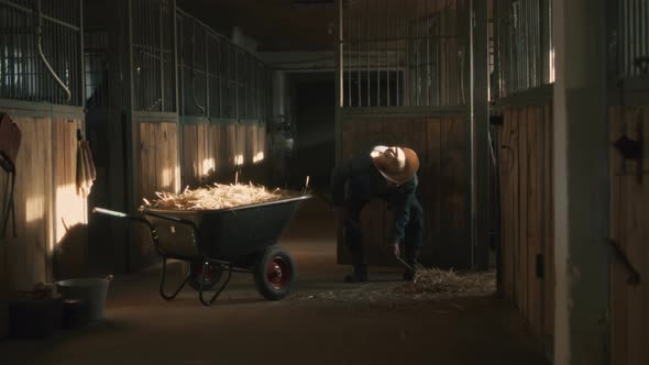 Senior Farmer Throwing Hay Into Wheelbarrow alt