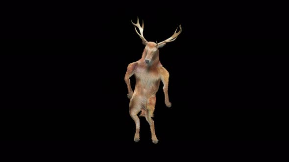 30 Deer Dancing 4K alt