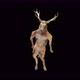 30 Deer Dancing 4K - VideoHive Item for Sale