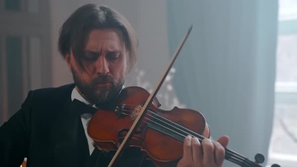 Bearded Violinist alt