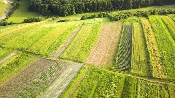 Aerial View of Green Agriculture Fields in Spring with Fresh Vegetation After Seeding Season alt