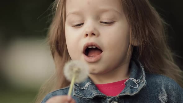 Charming Little Girl Blowing Dandelion