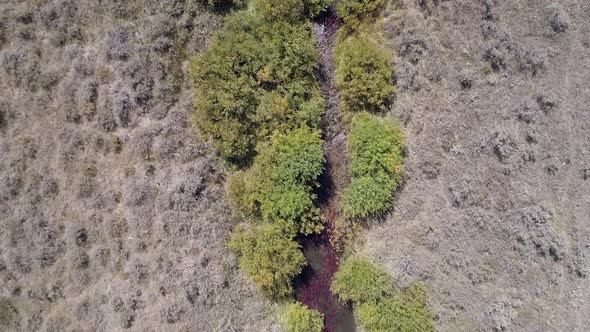 Aerial view of salmon spawning up small river alt