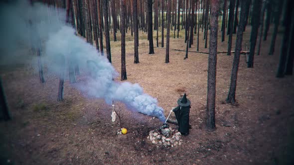 Evil sorcerer brews a potion in a cauldron in the forest. Scene for Halloween alt
