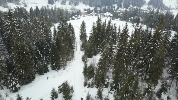 Flight Over a Ski Resort in Carpathian Mountains. Aerial View of People Descending on Skis. alt