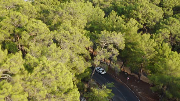 Drone track white sports car driving on twisted road through lush Turkish forest alt