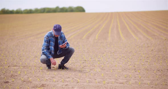 Agriculture - Farmer or Agronomist Using Digital Tablet Computer at Farm - Modern Agriculture. alt