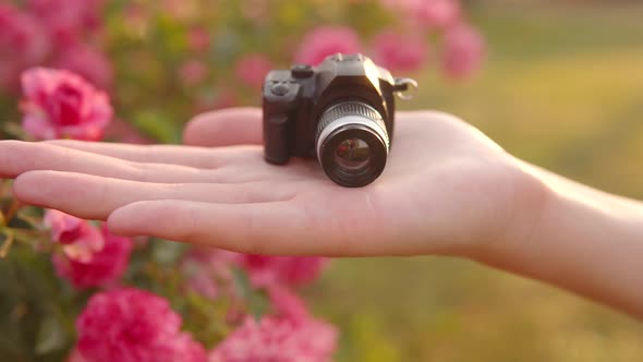 A Small Toy Camera in the Palm of a Girl Against the Backdrop of a Sunset and Flowers on the Street