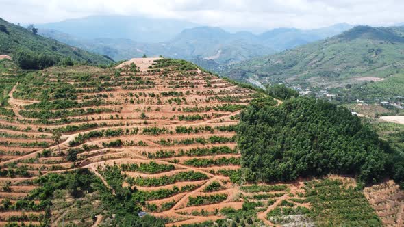 Vietnam hill was cleaned from trees. Deforestation process causing climate change in world. Aerial v alt