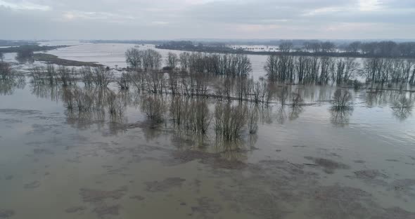 Aerial view of trees in high water in the river Waal, Gelderland, Netherlands. alt