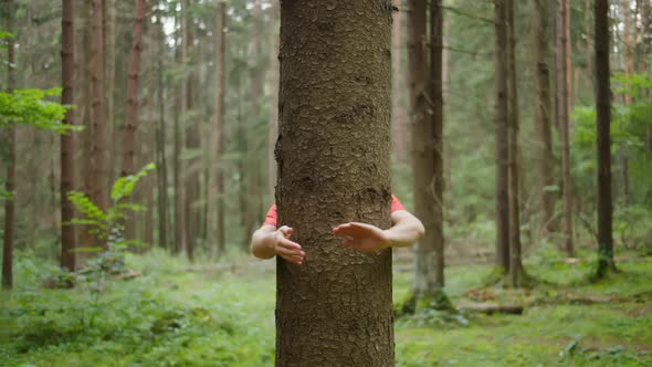 Man with Strong Hands Hugs a Tree Trunk Nature Conservation Environmental Protection alt