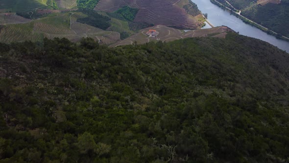 aerial photos of the douro valley near porto this is one of the most beautiful Vineyards for Porto W alt