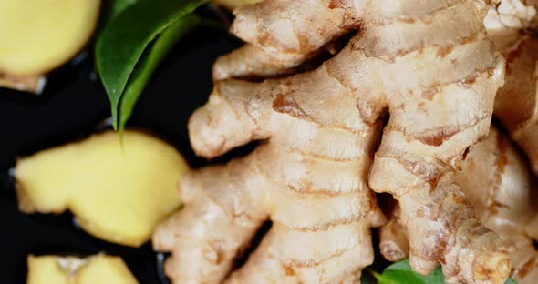 Fresh Ginger Root with Leaves Rotates Slowly.  alt