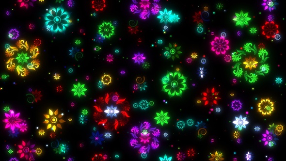 4k Colorful Flowers