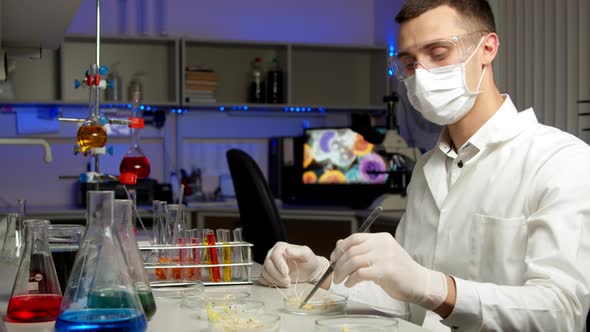 Scientist Examining Sprouts in Laboratory