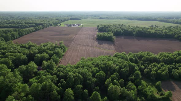 Drone view of field with tree alt