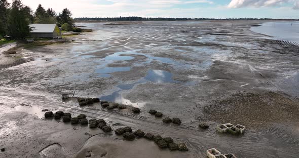 Oyster Beds Westport Washington Laidlaw Island South Bay