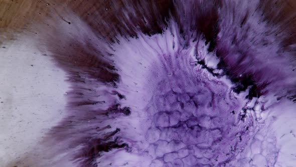 Blue Black Spots are Blurred on a Light Background alt